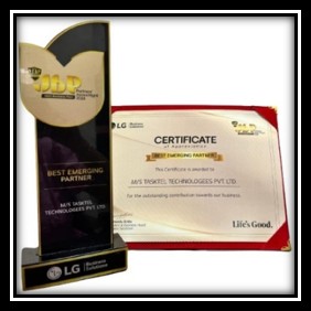 Partner Excellence Award